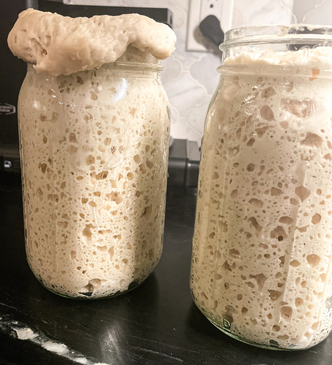 Getting Started with Sourdough Pizza Dough